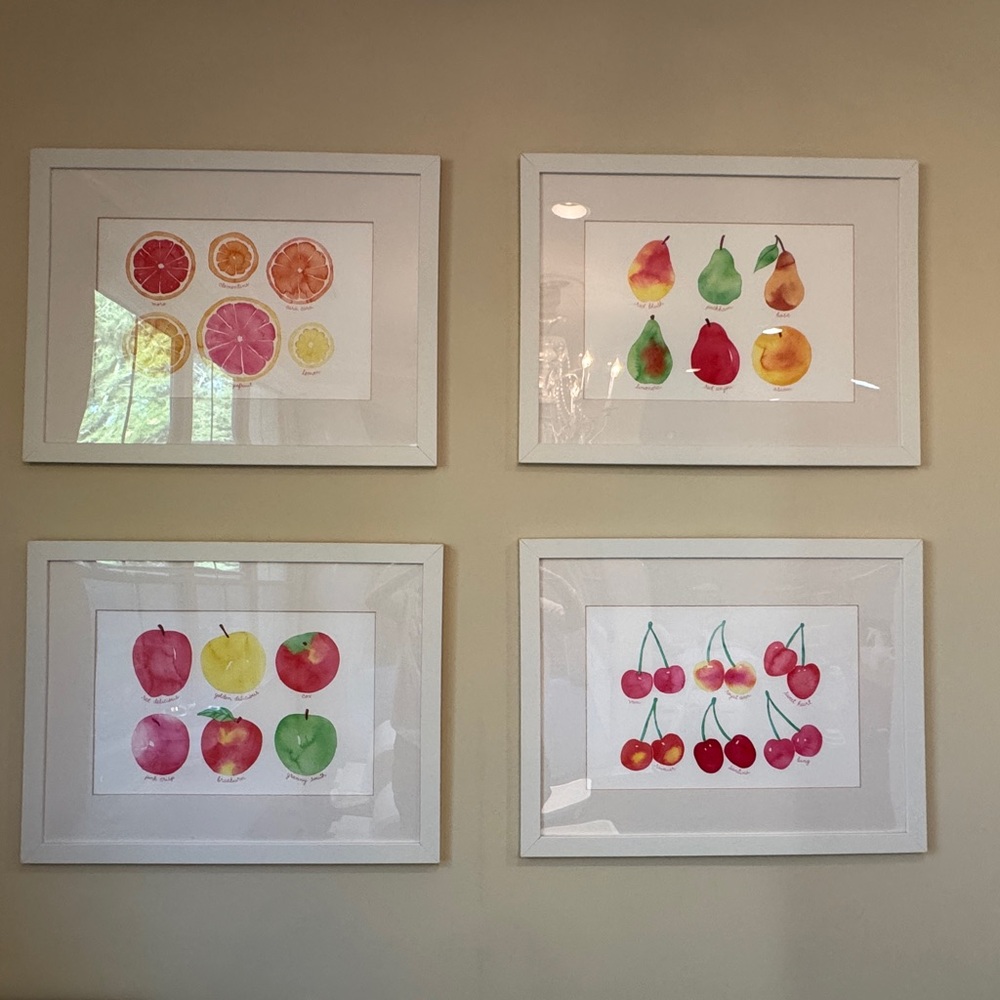 Set of 4 Framed Fruit Wall Art Prints Large 26×20 Watercolor Botanical Art